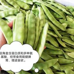 【同城微店】巴彦居民在线订购，和利生鲜最新鲜---根茎类蔬菜豆角